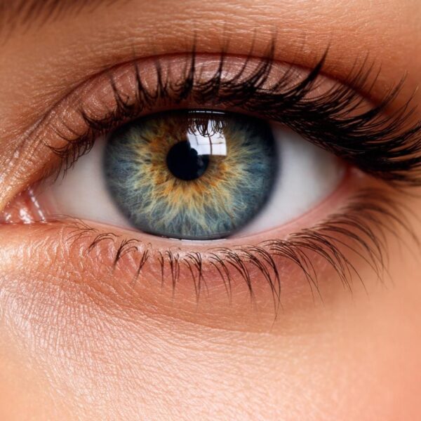 REPORT | Vision Rebooted?