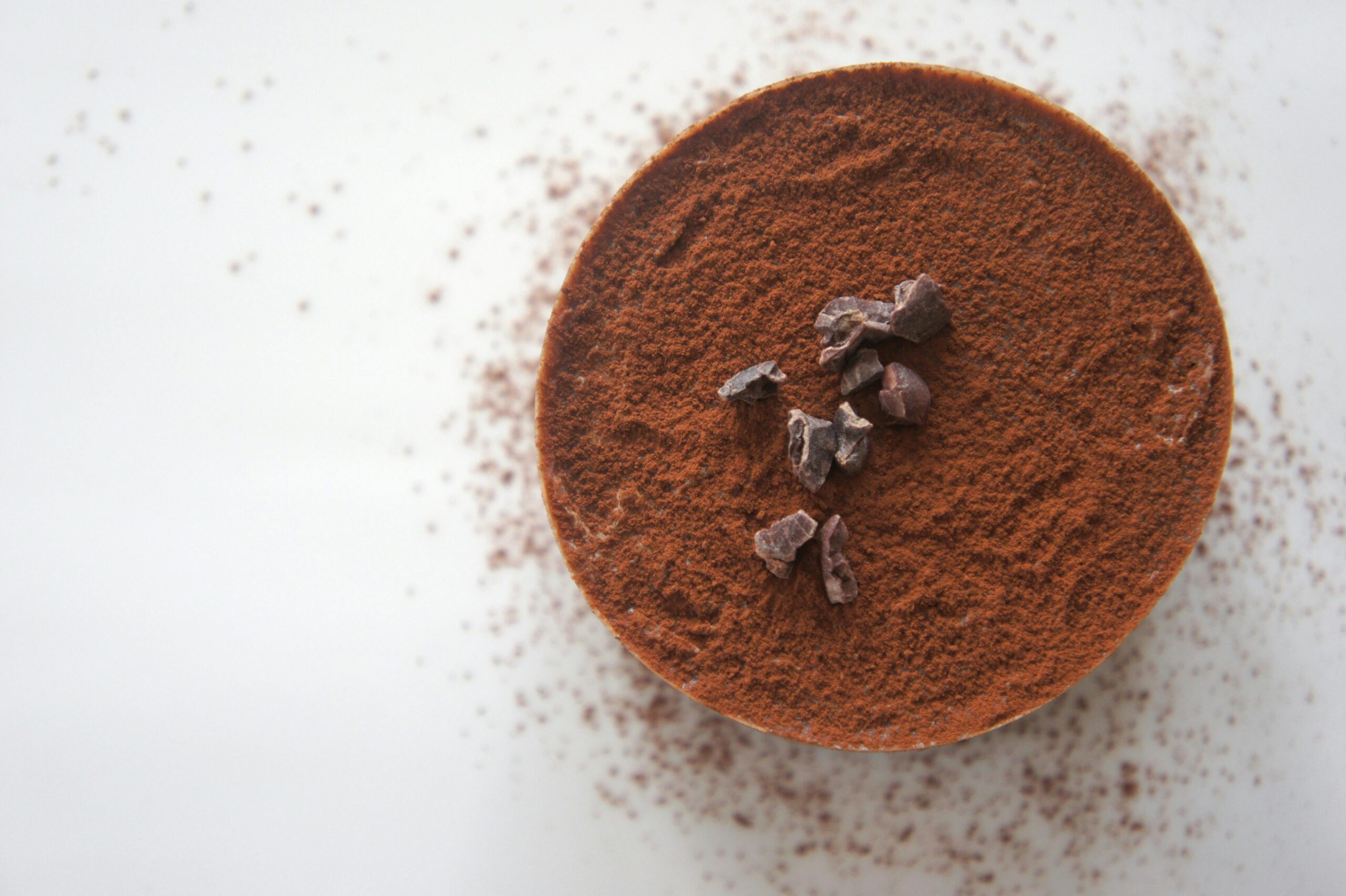 Report | Cocoa Flavonols and Stem Cells?