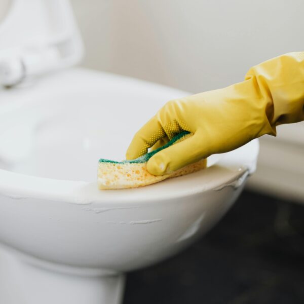 Report | Are Public Toilet Seats Safe? A Closer Look at Hygiene and Health Risks