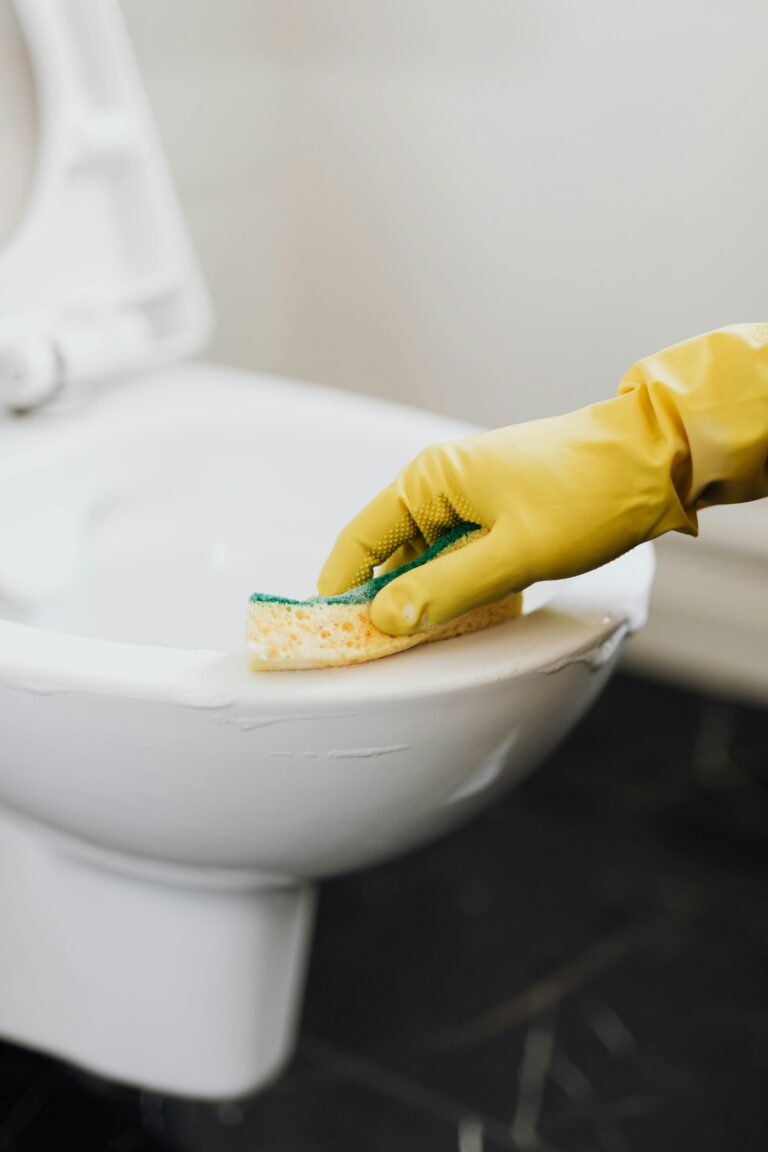 Report | Are Public Toilet Seats Safe? A Closer Look at Hygiene and Health Risks