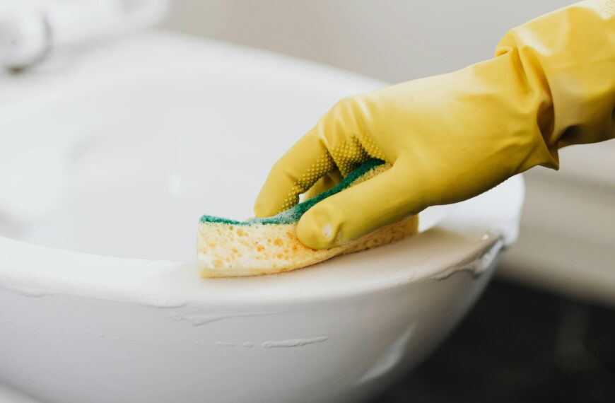 Report | Are Public Toilet Seats Safe? A Closer Look at Hygiene and Health Risks