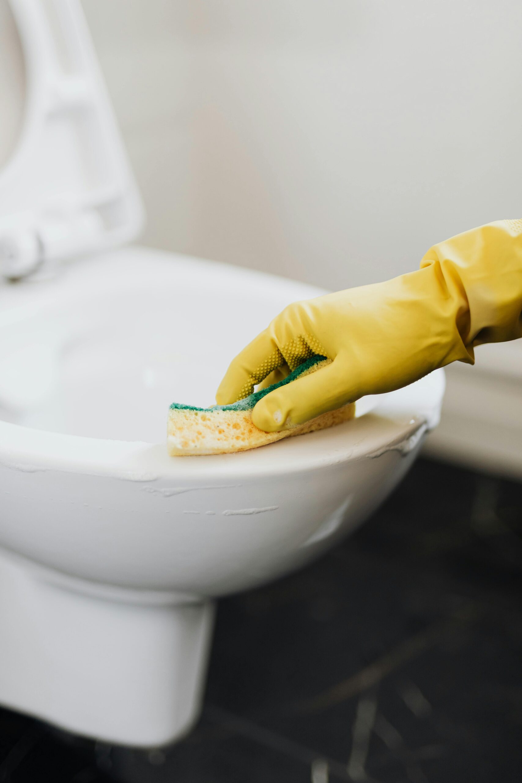 Report | Are Public Toilet Seats Safe? A Closer Look at Hygiene and Health Risks