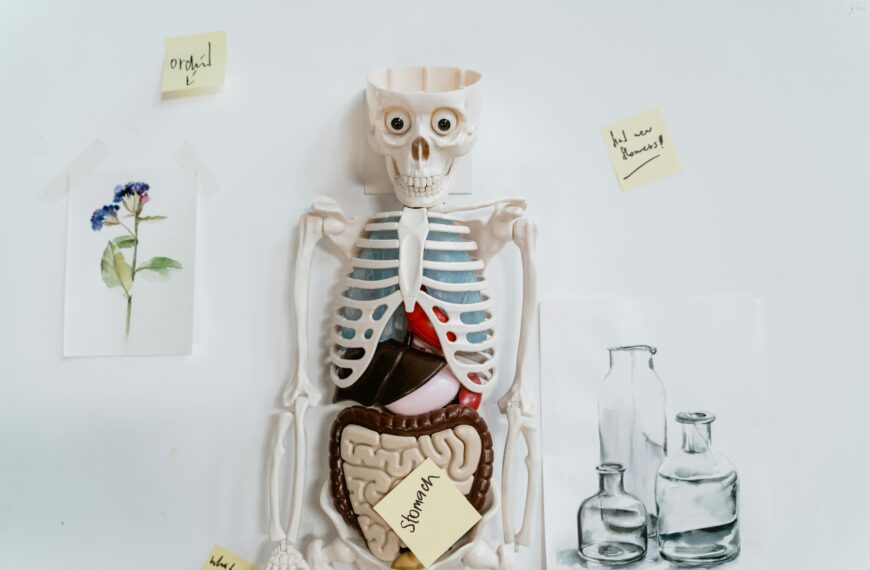 Report: The Role of Gut Viruses in Health and Disease