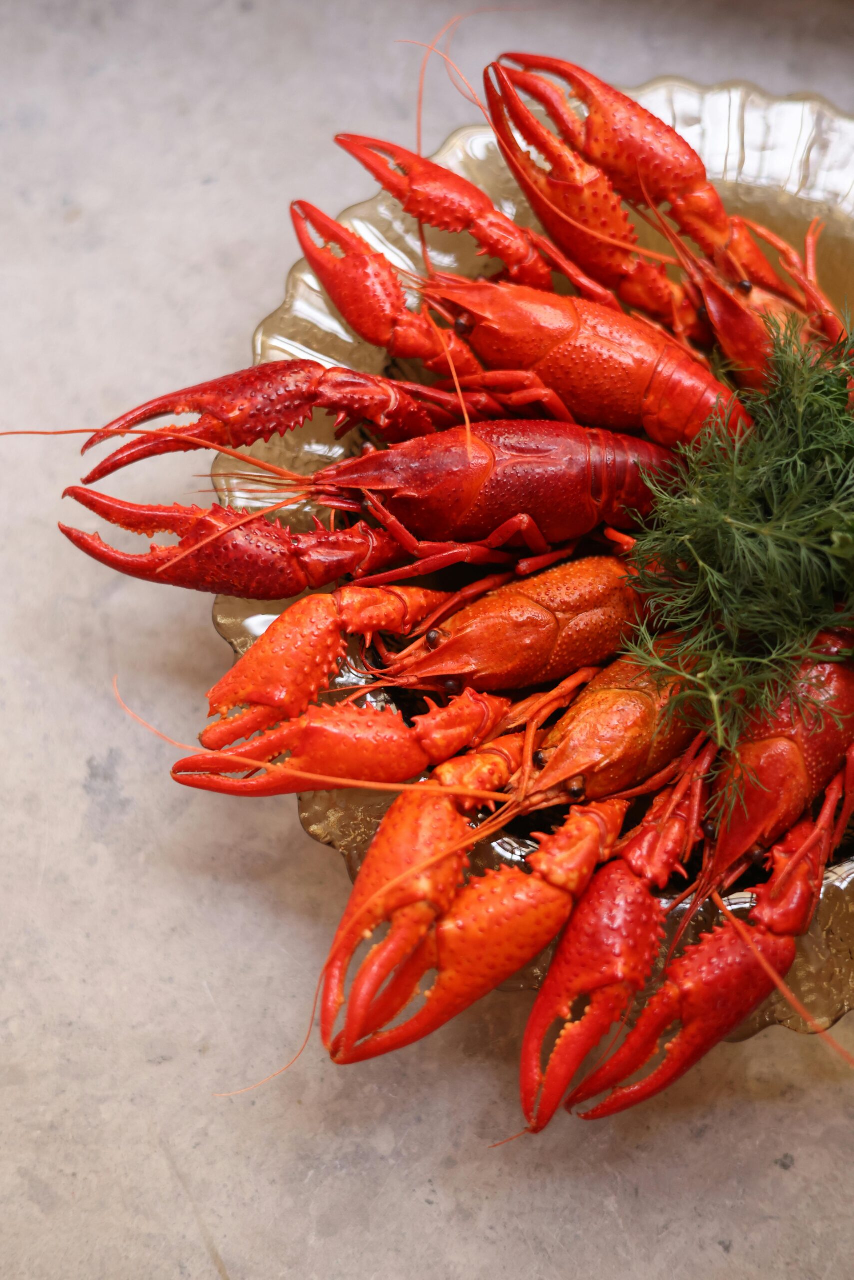 Report | Health Potential of Ground Crustaceans